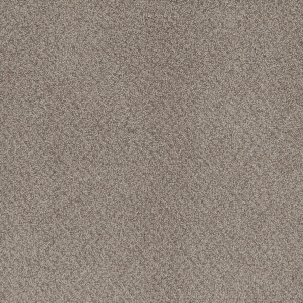Dusty Trail