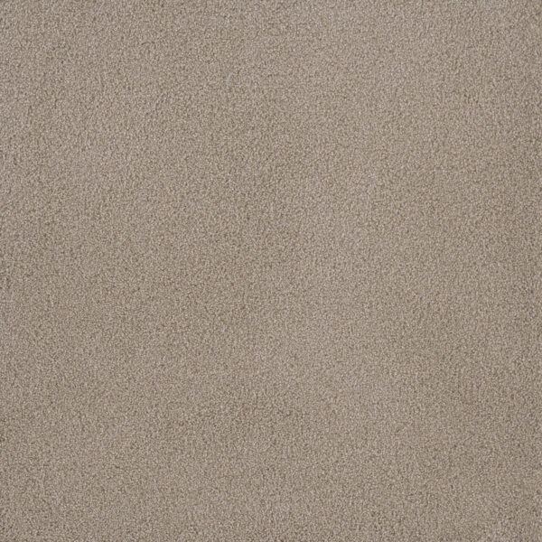 Parchment