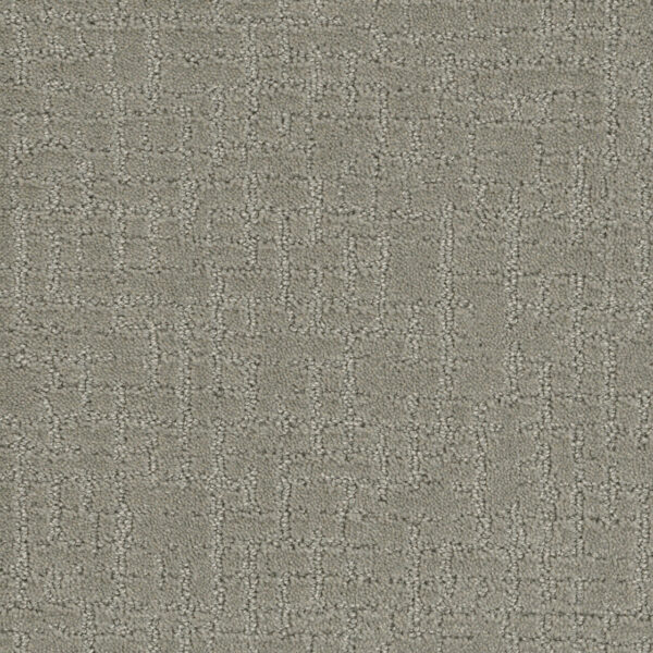 Wet Cement