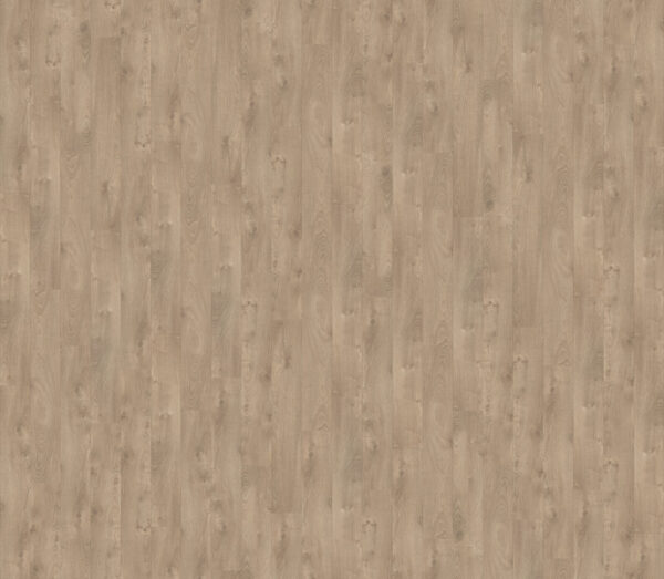 Timber Teakwood - Image 2